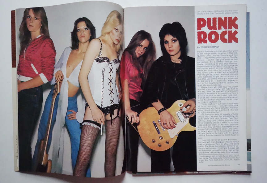 Playgirl Magazine on Punk Rock